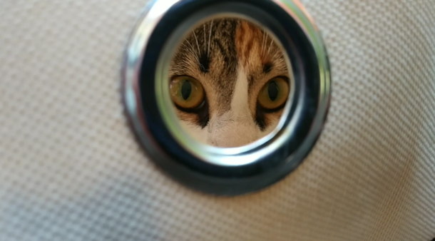 Peek-a-boo