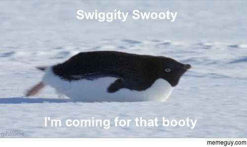 Penguins coming