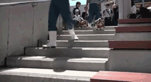 Penguins look so cute going down stairs