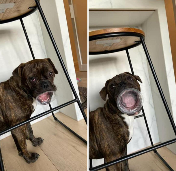 Penny showing off her empty yoghurt container - and no it wasnt stuck