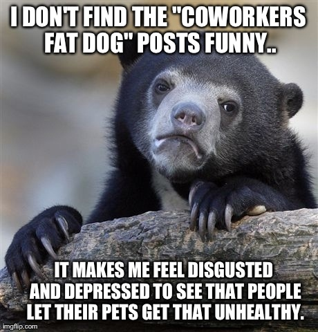 People are responsible for their pets lives and healthit just doesnt rub me right