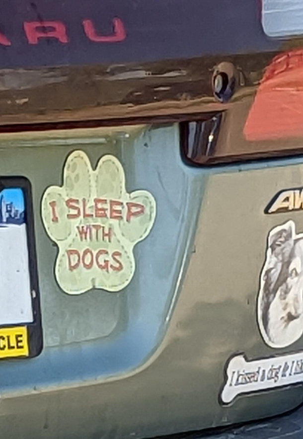 People have no shame with their bumper stickers these days