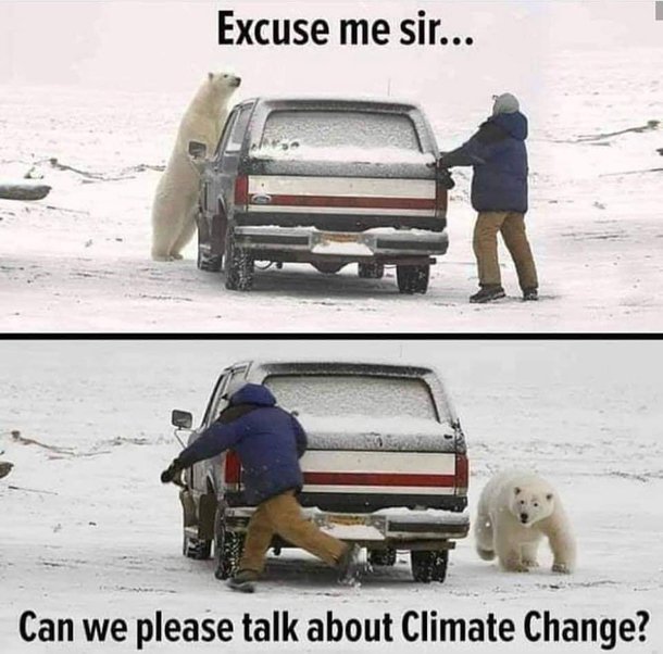 People misunderstand bears