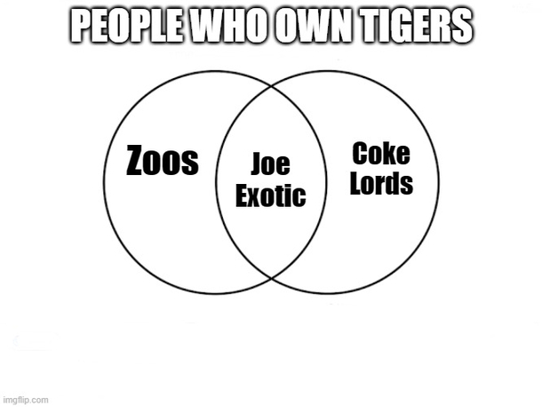 People who own tigers