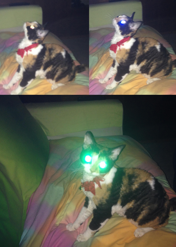 Pepe after talking to Satan