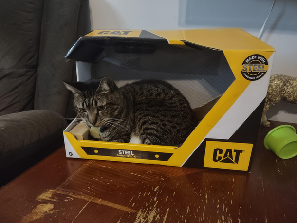 Perfect box for my CAT