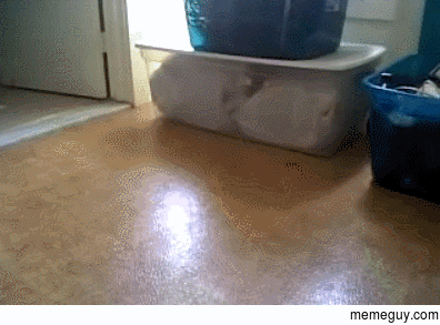 Perfect fit
