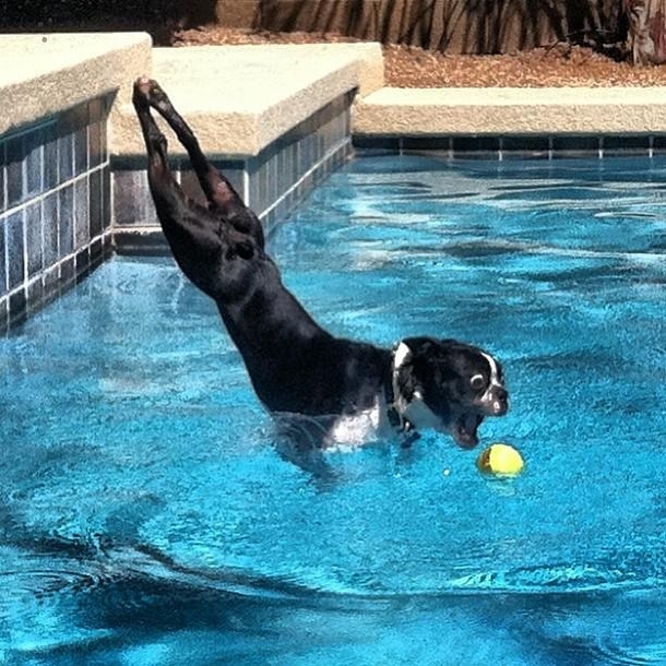 Perfect form