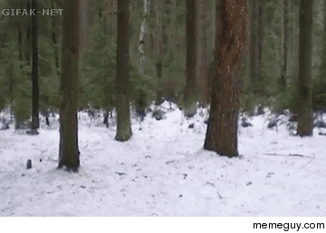 Perfect Frontflip