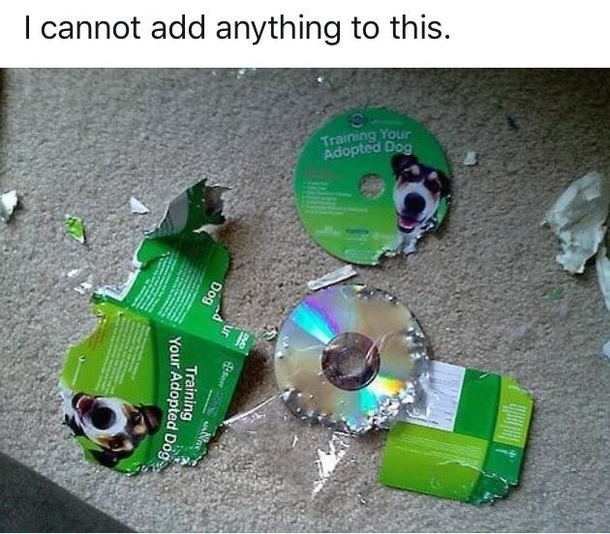 Perfect irony