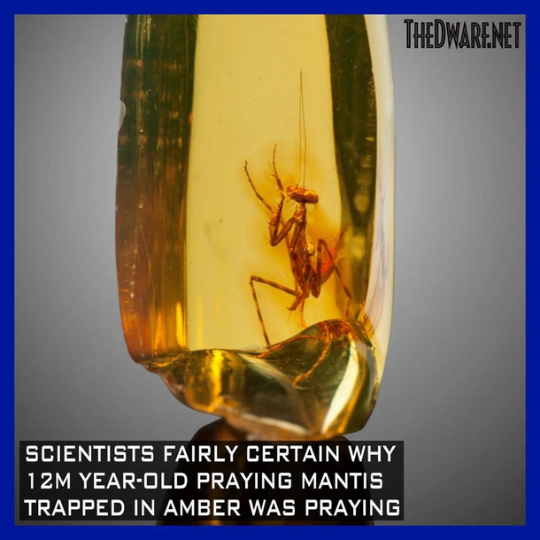 Perpetual Prayer