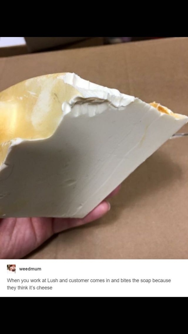 Person thinks Lush cosmetics is cheesebites it