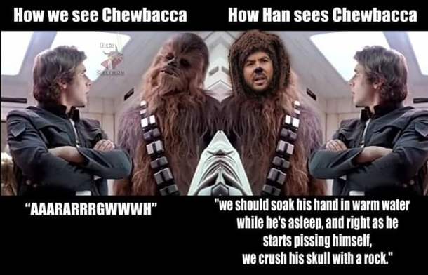 Perspectives on Chewbacca