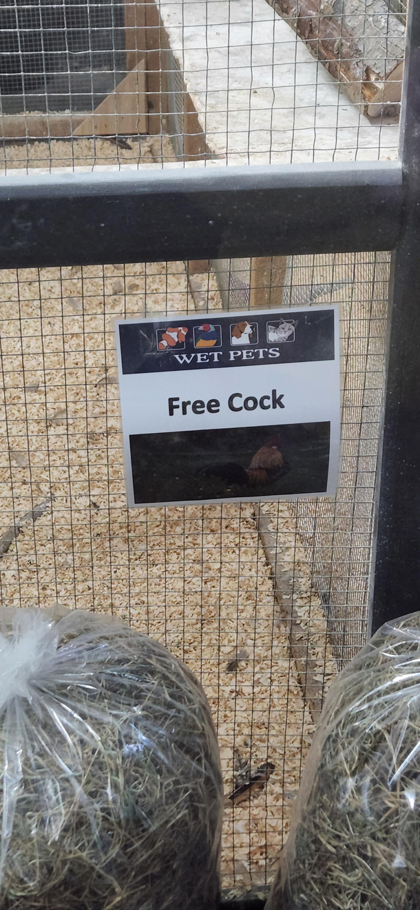 Pet Store in NZ