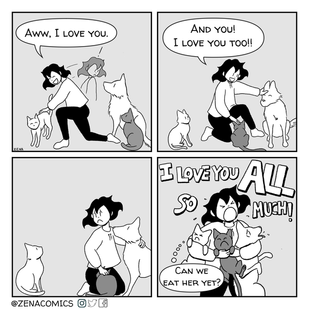 Pets 