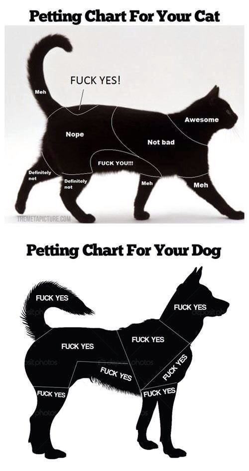 Petting Chart