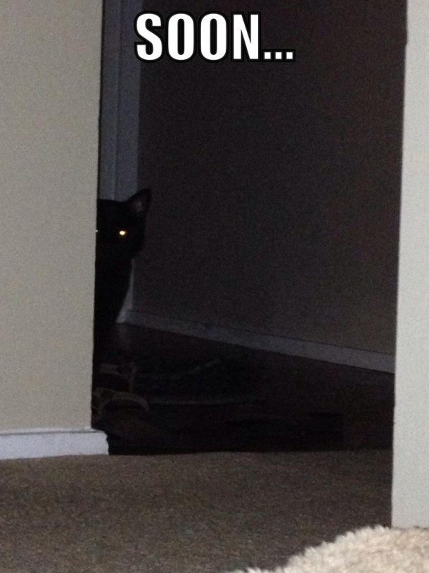 Phantom of the Doorway 
