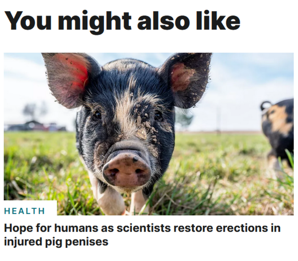 phew I was worried