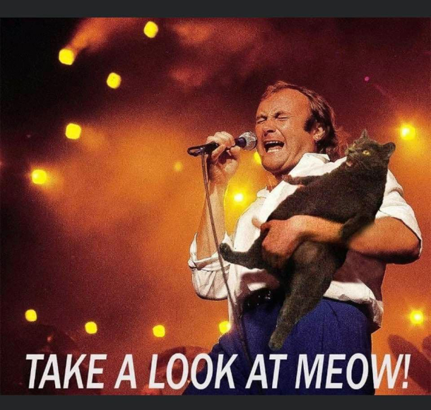 Phil Collins used to get a little wild on stage