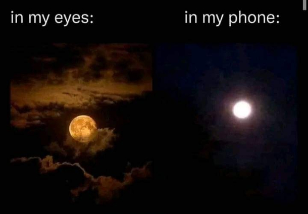 Phone is a curse for photographers