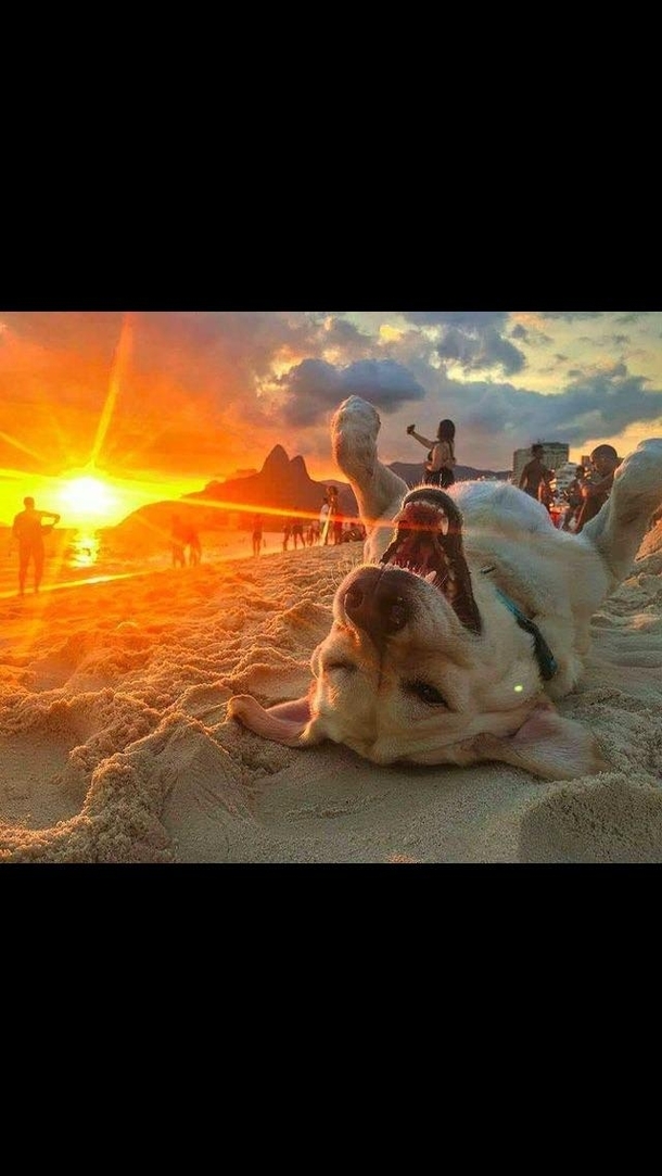PHOTO bomb