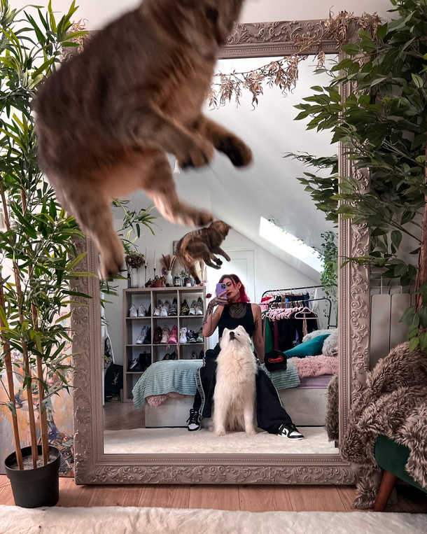 Photobomb cat from Maghla on Twitter