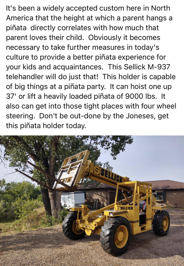 Piata holder