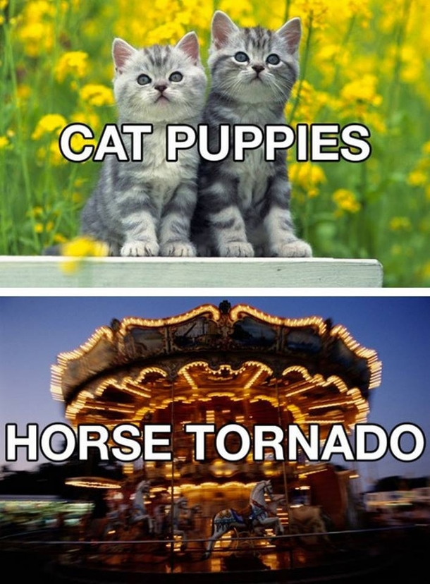 Pic #1 - Better names for every day items