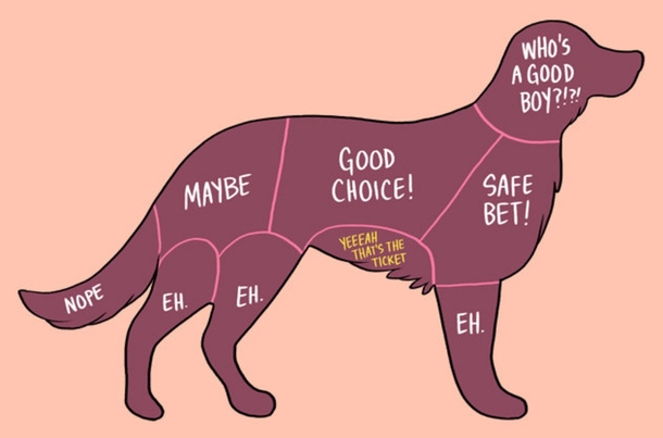 Pic #1 - Charts That Perfectly Illustrate How To Properly Pet Animals