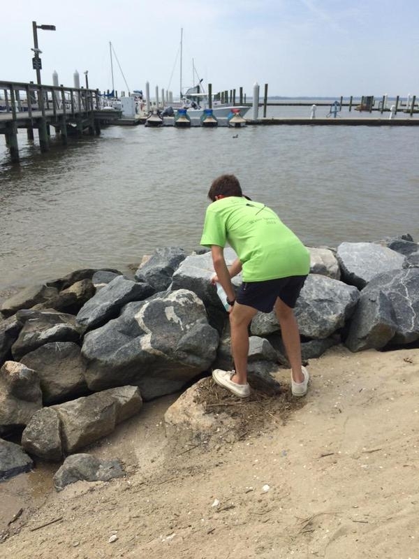 Pic #1 - Friend of mine started working at the marina I work at convinced him to clean rocks with windex and towles