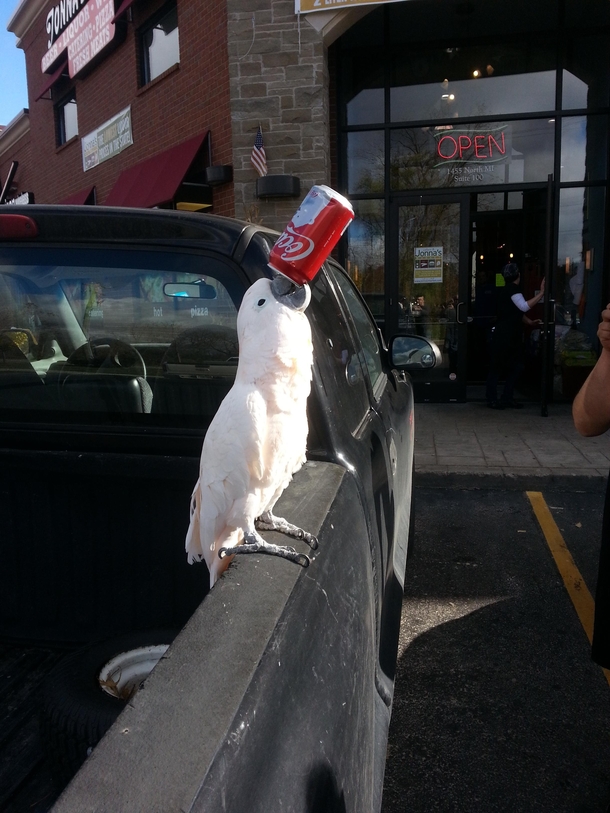 Pic #1 - He was just sitting outside the liquor store drinking a soda