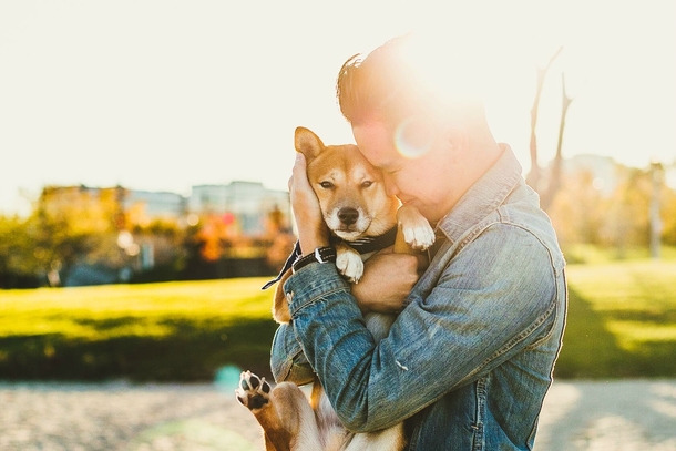 Pic #1 - I asked a wedding photographer to do an engagement shoot with me and my dog