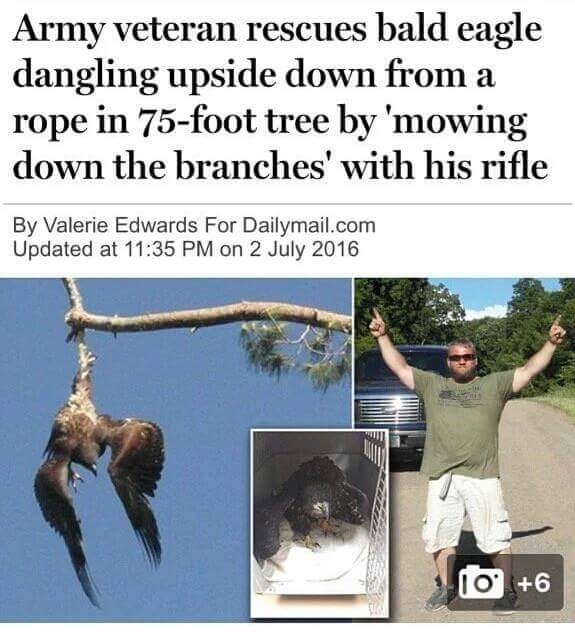 Pic #1 - I dont think Ive seen anything more American than this