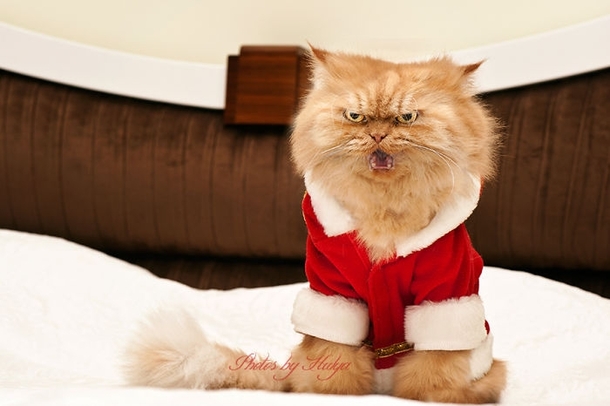 Pic #1 - I swear I think thats his happy face