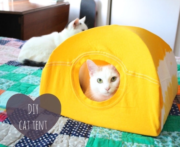 Pic #1 - I tried making a t-shirt cat tent