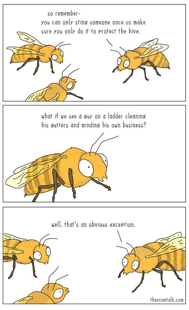 Pic #1 - If animals could talk