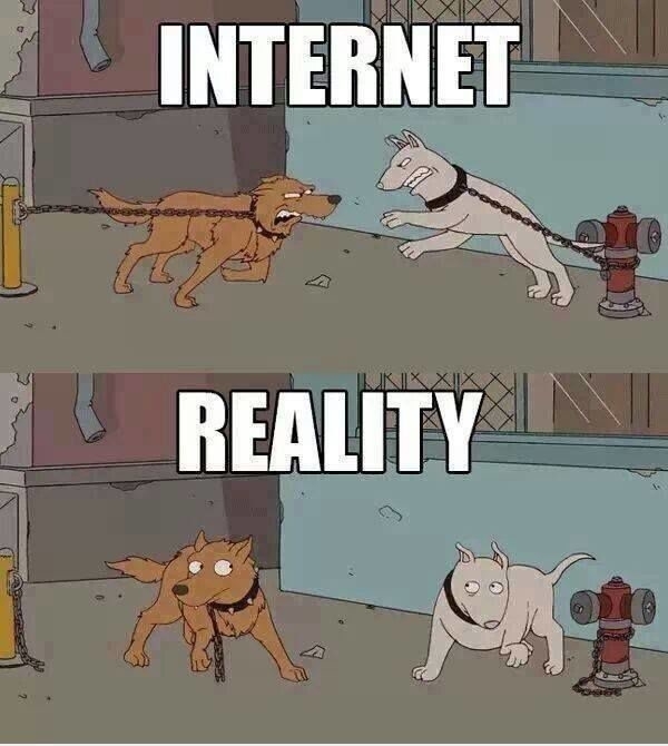 Pic #1 - Internet vs Reality