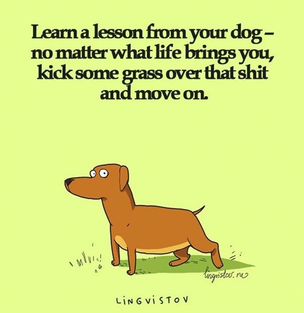 Pic #1 - Learn something from dog