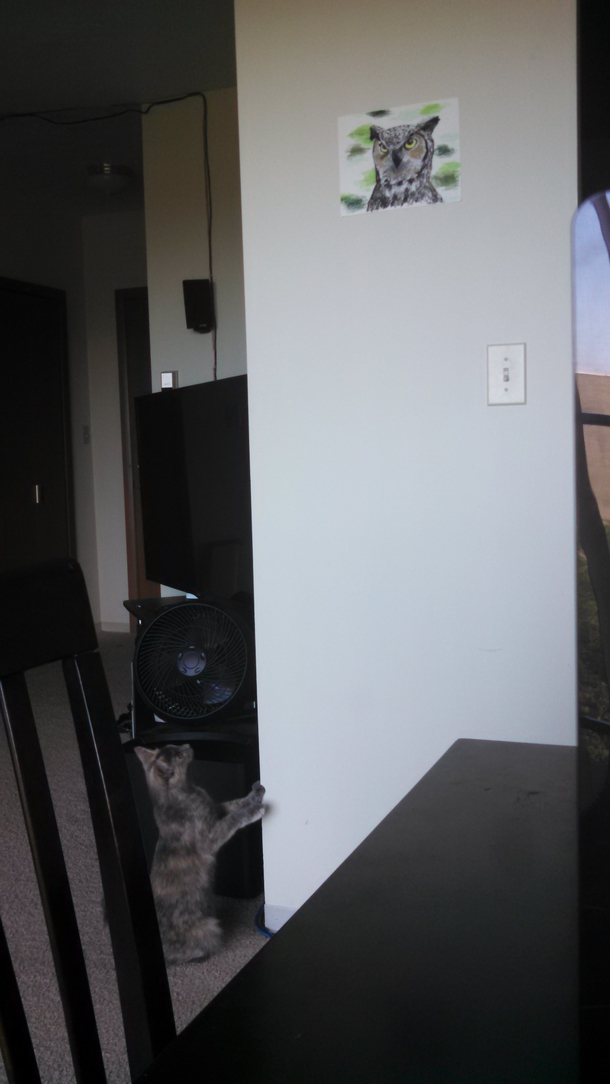 Pic #1 - My cat is freaked out by my owl drawing