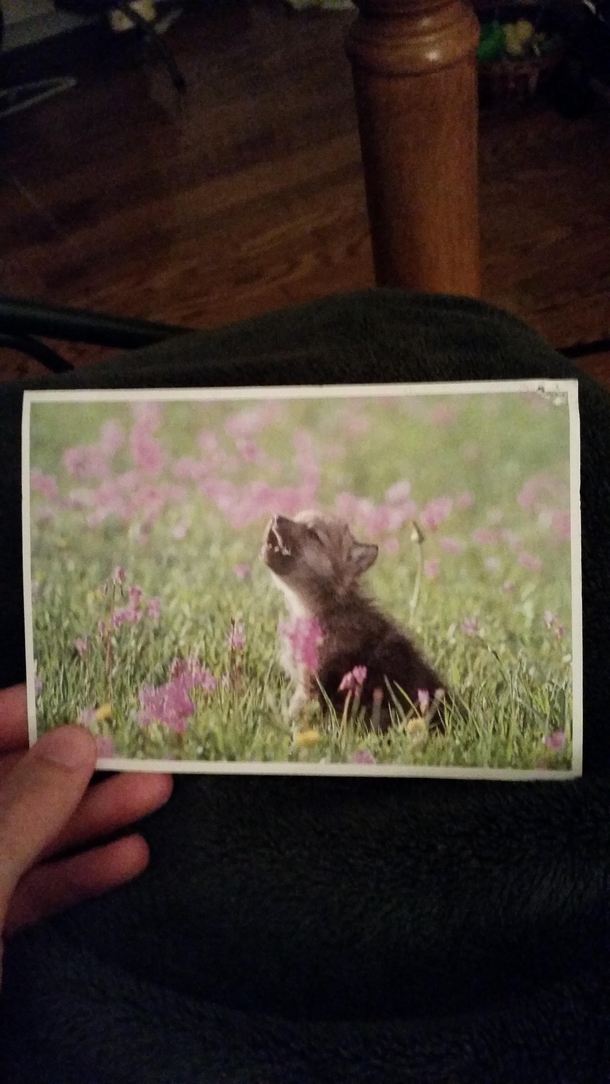 Pic #1 - My girlfriend had this card in her apartment Said shes had it for at least ten years