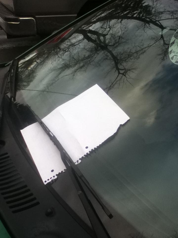 Pic #1 - My little brother came running inside and told me my car had a ticket Little bastard