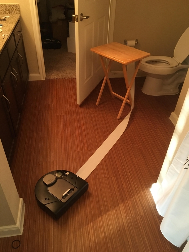 Pic #1 - Pets are messy they said Get a robot instead they said