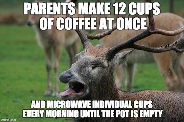Pic #1 -  pot typically lasts  days I was horrified when they told me