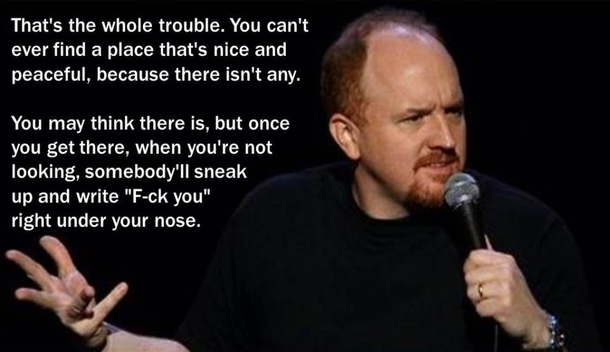 Pic #1 - Putting pictures of Louis CK with quotes from Catcher in the Rye works way too well