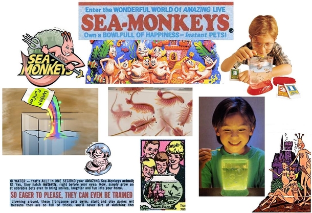 Pic #1 - Sea monkeys