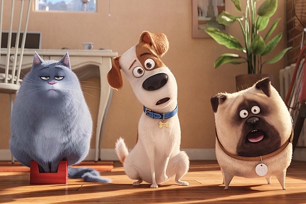 Pic #1 - Secret Life of Pets Understands Cats I busted out laughing when I noticed it in the theater