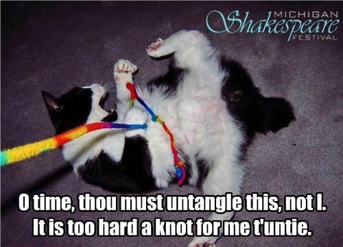 Pic #1 - Shakespeare lolcats
