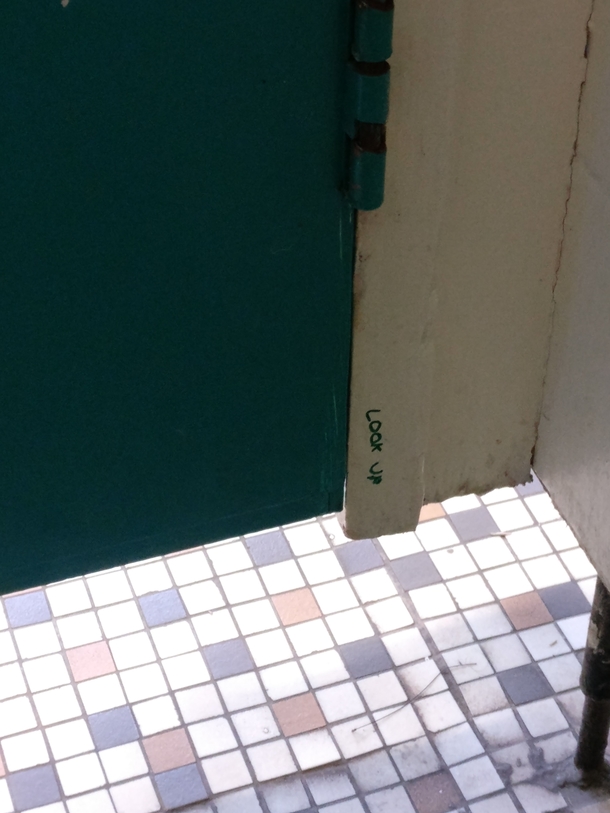 Pic #1 - Spotted something in the toilet cubical