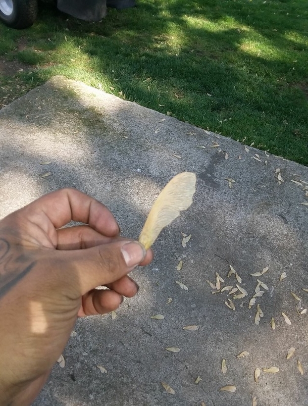 Pic #1 - The original fidget spinner