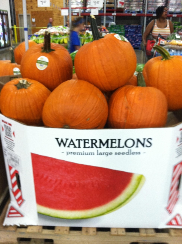 Pic #1 - These are some interesting watermelons